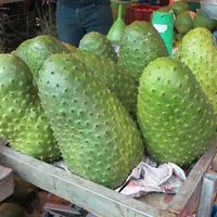 Soursop at a Costa Rican farmers' market