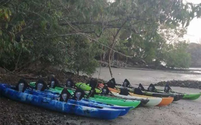 Colourful kayaks on the beach