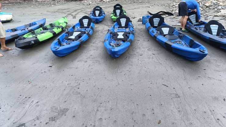 Bioluminescence Tour