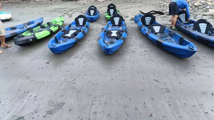 Bioluminescence tour