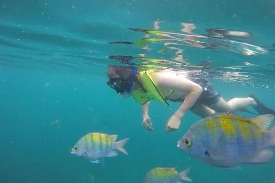Snorkelling with colourful fish at Isla Tortuga