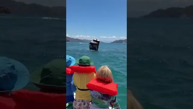 Isla Tortuga tour